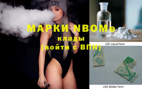 индика Алзамай