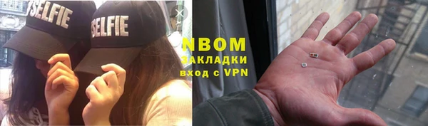 индика Алзамай
