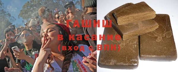 индика Алзамай