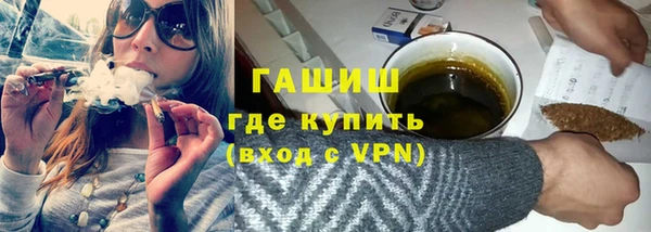индика Алзамай